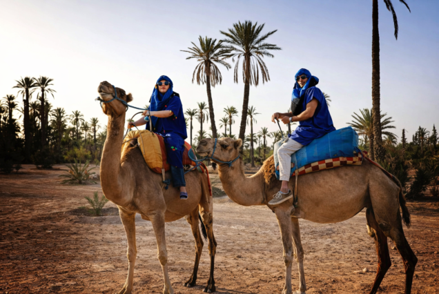 Camel Ride